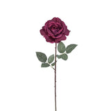 Sophie Closed Rose Stem