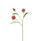 Open Artichoke Stem with Bud