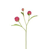 Tallo de alcachofa cerrado con yema