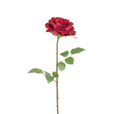 Tallo de rosa Sophie cerrada