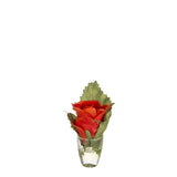 Rose with leaf in water illusion