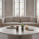 Succulent Sedum in pot