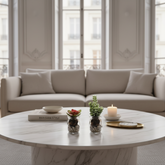 Succulente Kalanchoe Thyrsiflora in vaso