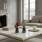 Crassula succulenta in vaso