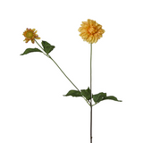 Dahlia Stem with Bud