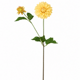 Tige de Dahlia avec bourgeon