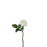 Maria Waterproof Open Rose Stem