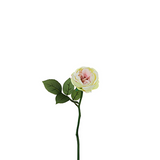Maria Waterproof Open Rose Stem