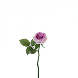 Maria Waterproof Open Rose Stem