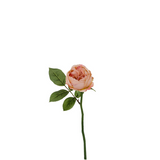 Maria Waterproof Open Rose Stem