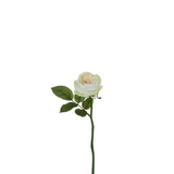 Maria Waterproof Open Rose Stem