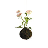 Hanging Composition Ranunculus