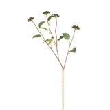 Berry Branch with Leaves