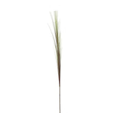 Falling Herbs Foliage