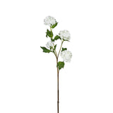 Hydrangea Snowballs Stem 4 heads