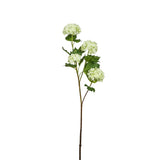 Hydrangea Snowballs Stem 4 heads