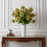 Tallo de Helleborus Niger con brote