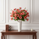 Tallo de Helleborus Niger con brote