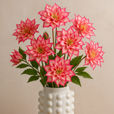 Tallo de Helleborus Niger