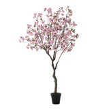 Potted flowering cherry tree 245 cm