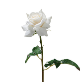 Tige de Rose ouverte Premium 50cm