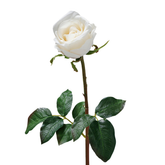 Tige de Rose fermée Premium 50cm