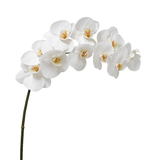Tallo de orquídea premium de 100 cm