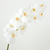 Tallo de orquídea premium de 100 cm