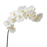 Tallo de orquídea premium de 86 cm