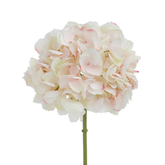 Tige d'Hortensia Premium 48cm