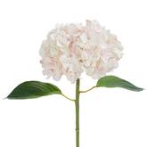 Tige d'Hortensia avec feuilles Premium 45cm