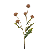 Stelo da ping pong crisantemo 62 cm