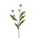 Stelo da ping pong crisantemo 62 cm