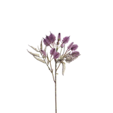 Mazzo di cardo 50 cm