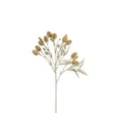 Mazzo di cardo 50 cm