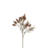 Mazzo di cardo 50 cm