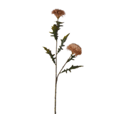 Tallo de cardo 78 cm