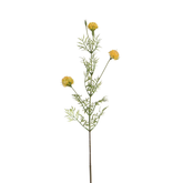 Tige de Chrysanthème Ping Pong 78 cm