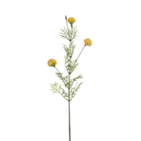 Tige de Chrysanthème Ping Pong 78 cm