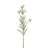 Tige de Chrysanthème Ping Pong 78 cm