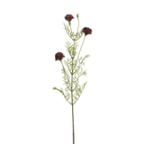 Tige de Chrysanthème Ping Pong 78 cm