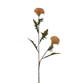 Tige de Chardon 78 cm