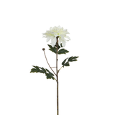 Tige de Dahlia 65 cm