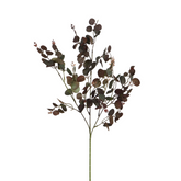 Follaje de eucalipto 80 cm