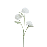 Tige de Chrysanthème 63 cm