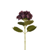 Tallo de hortensia 68 cm