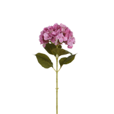 Tallo de hortensia 68 cm