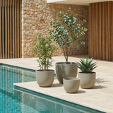 4 Cache-Pots Terra arrondis beige granito