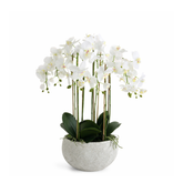 Composición Orquídea Serena 70 cm