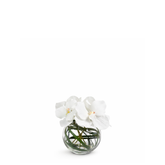 Composizione di orchidee in vaso rotondo Chloé